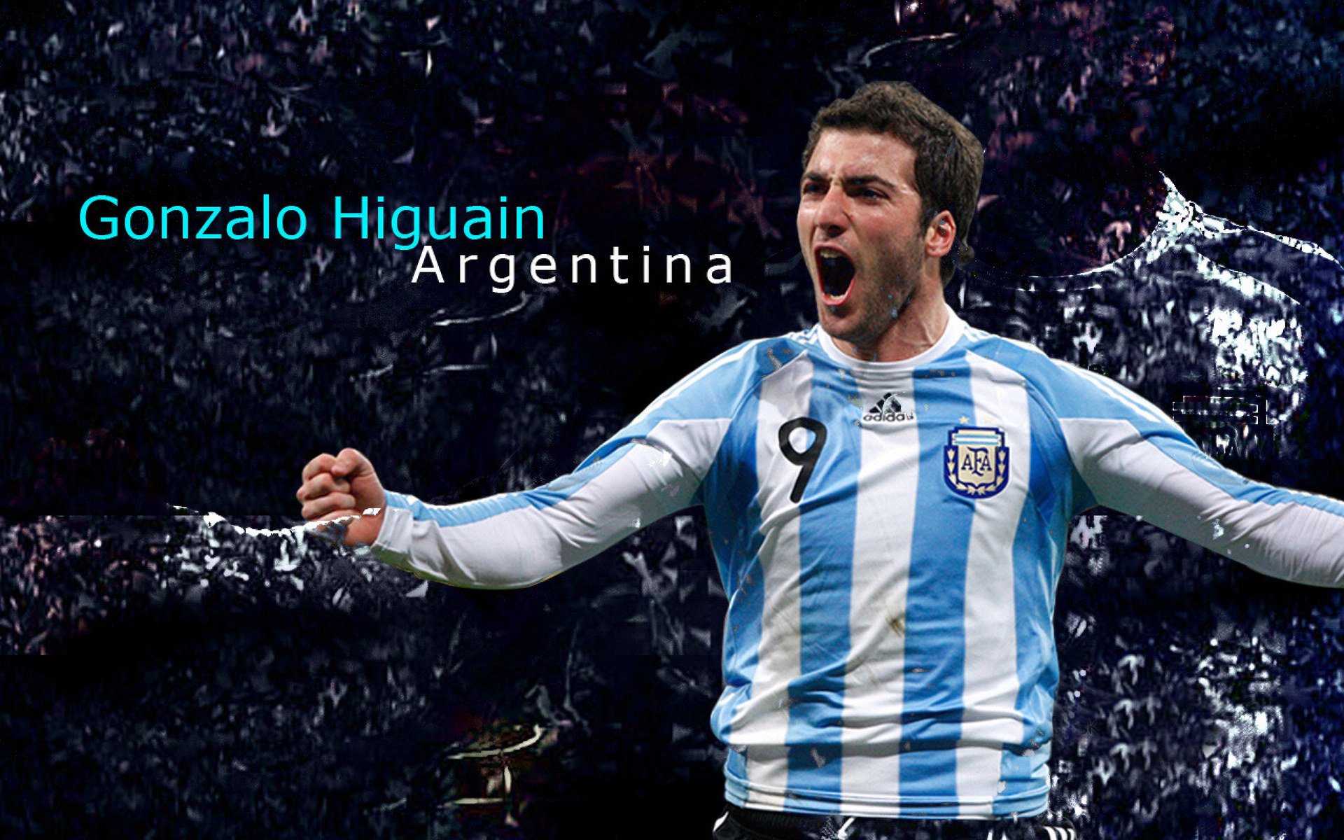 世界杯非洲区预选赛：加纳凭客场进球优势淘汰尼日利亚